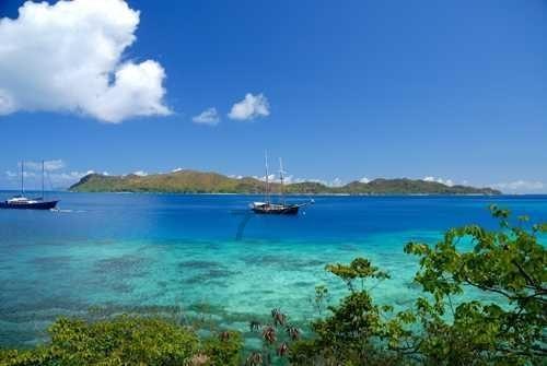 动物帮帮忙保卫家园