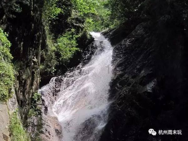 虫虫助手下载