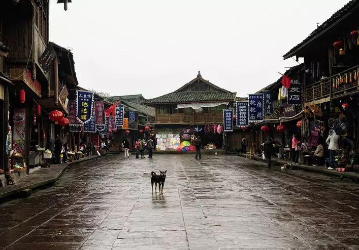 探秘吉鹿力问答社区,解锁人们常说的“阳关大道”,说的是现在的哪里?这一成语的来源是什么?的奇妙世界!